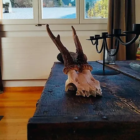 Sonnenhof * Венген