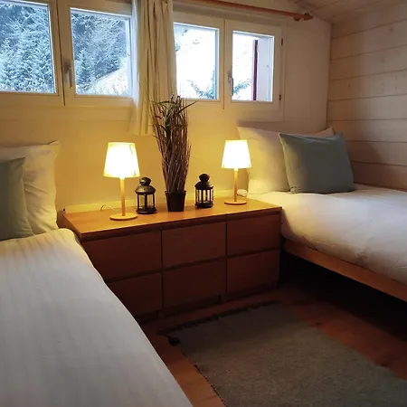 Sonnenhof Appartamento Wengen